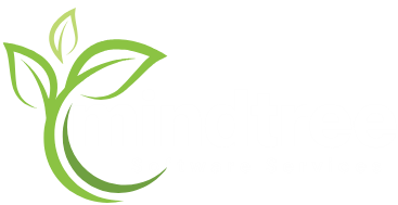 logo-img